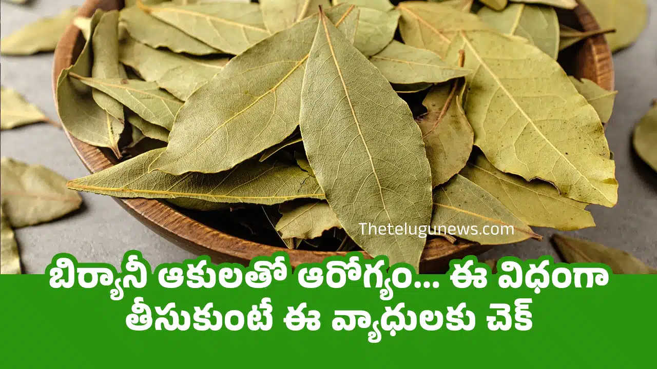 Biryani Leaves : బిర్యానీ ఆకులతో ఆరోగ్యం... ఈ విధంగా తీసుకుంటే ఈ వ్యాధులకు చెక్...?