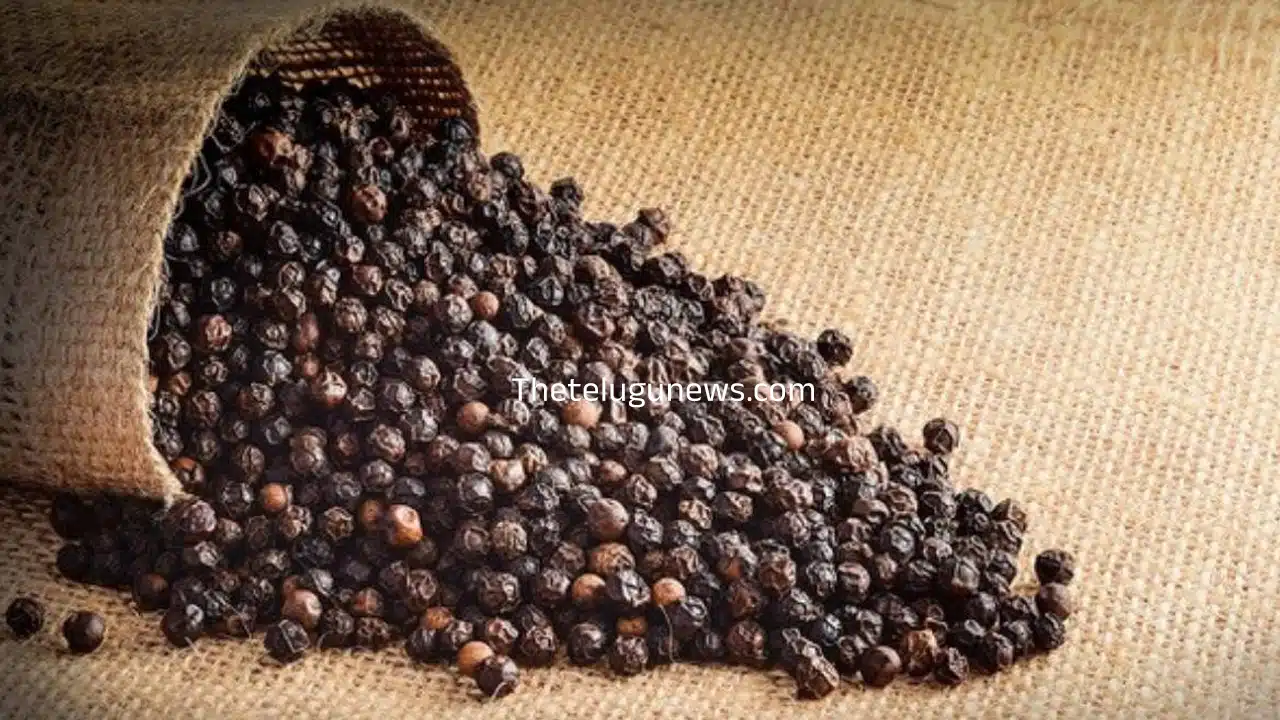 Black Pepper : నల్లగా ఉంటే ఏంటి... దీన్ని చీప్ గా చూస్తారా... ఆరోగ్య ప్రయోజనాలు తెలిస్తే ఎప్పటికి అలా చెయ్యరు...?