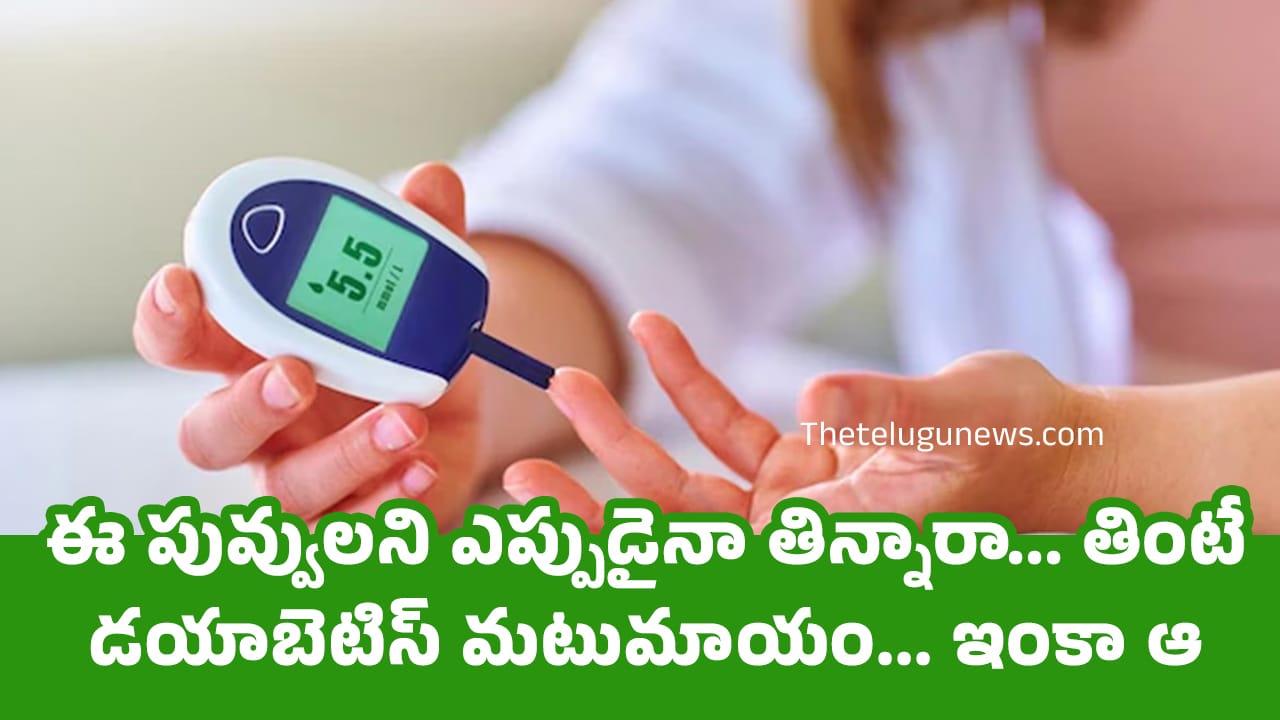 Blood Sugar Levels ఈ పువ్వులని ఎప్పుడైనా తిన్నారా తింటే డయాబెటిస్ మటుమాయం ఇంకా ఆ వ్యాధులకు చక్క్