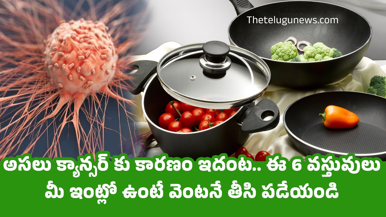 Cancer : అసలు క్యాన్సర్ కు కారణం ఇదంట.. ఈ 6 వస్తువులు మీ ఇంట్లో ఉంటే వెంటనే తీసి పడేయండి…?