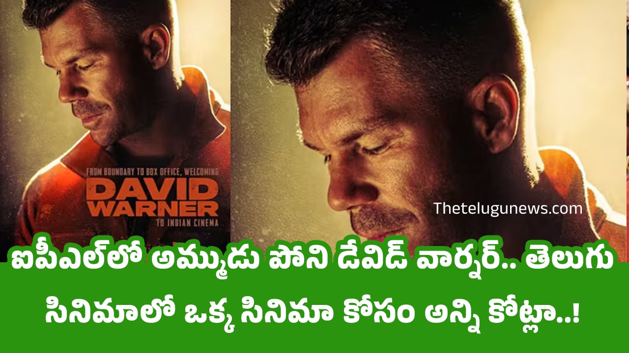 David Warner ఐపీఎల్‌లో అమ్ముడు పోని డేవిడ్ వార్నర్ తెలుగు సినిమాలో ఒక్క సినిమా కోసం అన్ని కోట్లా