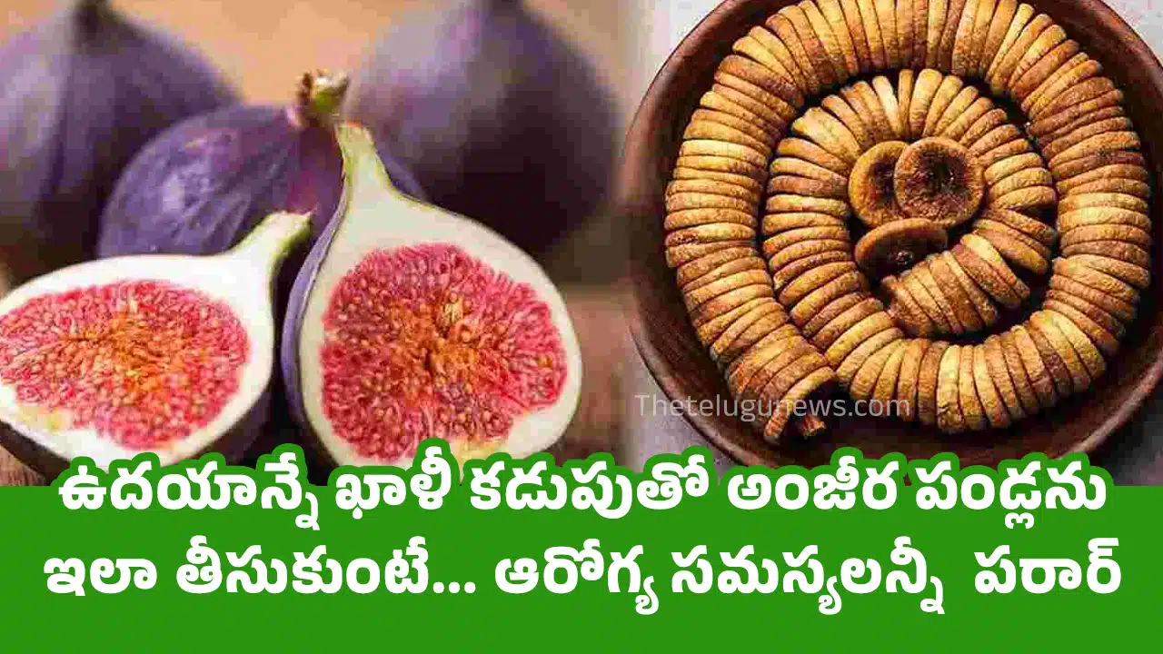 Empty Stomach : ఉదయాన్నే ఖాళీ కడుపుతో అంజీర పండ్లను ఇలా తీసుకుంటే... ఆరోగ్య సమస్యలన్నీ పరార్...?