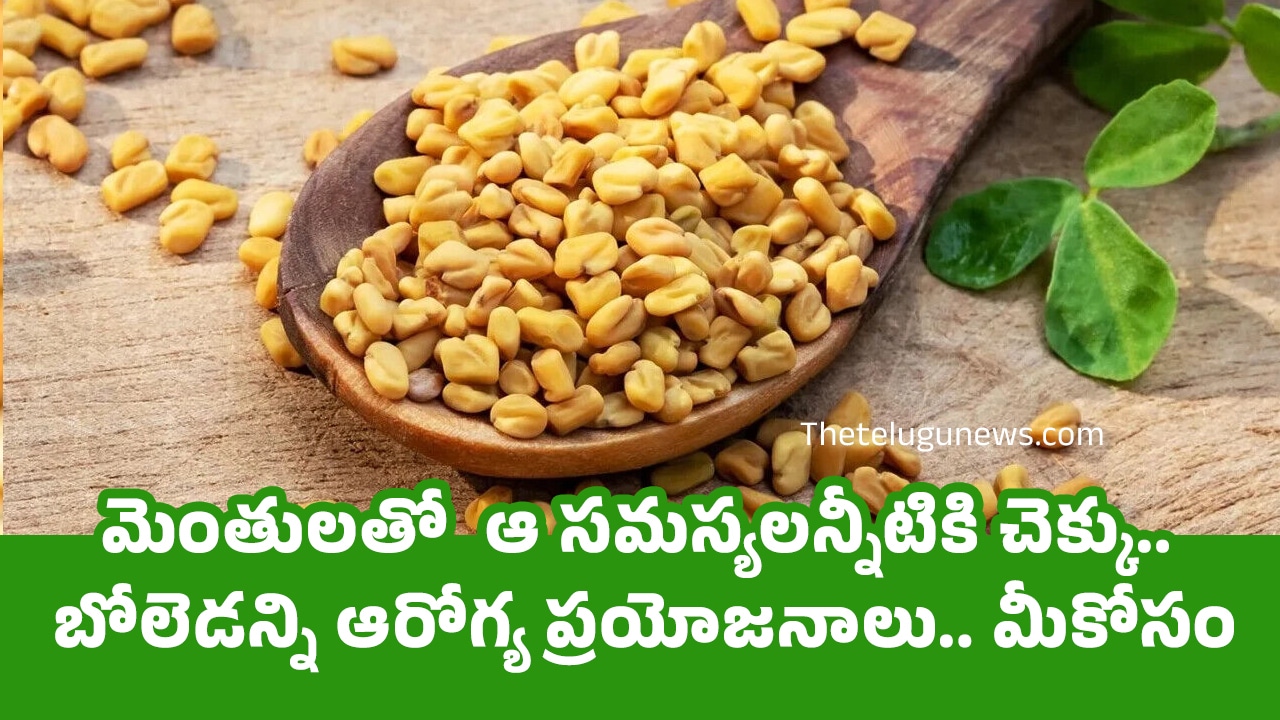 Fenugreek Seeds మెంతులతో ఆ సమస్యలన్నీటికి చెక్కు బోలెడన్ని ఆరోగ్య ప్రయోజనాలు మీకోసం