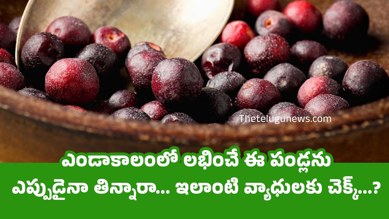 Health Benefits ఎండాకాలంలో లభించే ఈ పండ్లను ఎప్పుడైనా తిన్నారా ఇలాంటి వ్యాధులకు చెక్క్