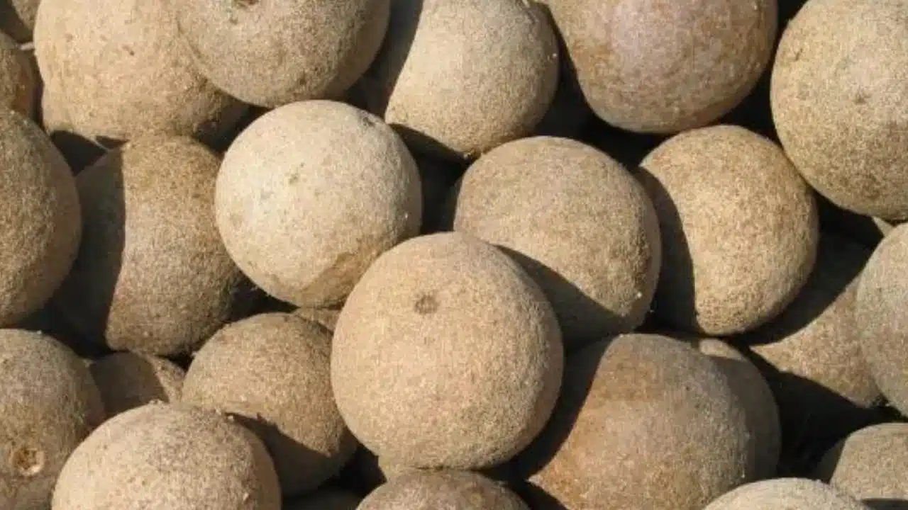 Health Fruit : ఈ పండు ధర కేవలం రూ.10 లే... ఇది ఆ సమస్యకు పవర్ఫుల్...?