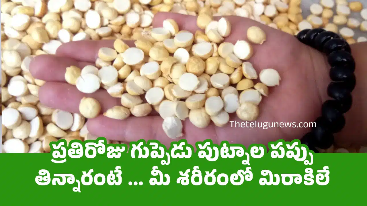 Health Tips : ప్రతిరోజు గుప్పెడు పుట్నాల పప్పు తిన్నారంటే ... మీ శరీరంలో మిరాకిలే...?