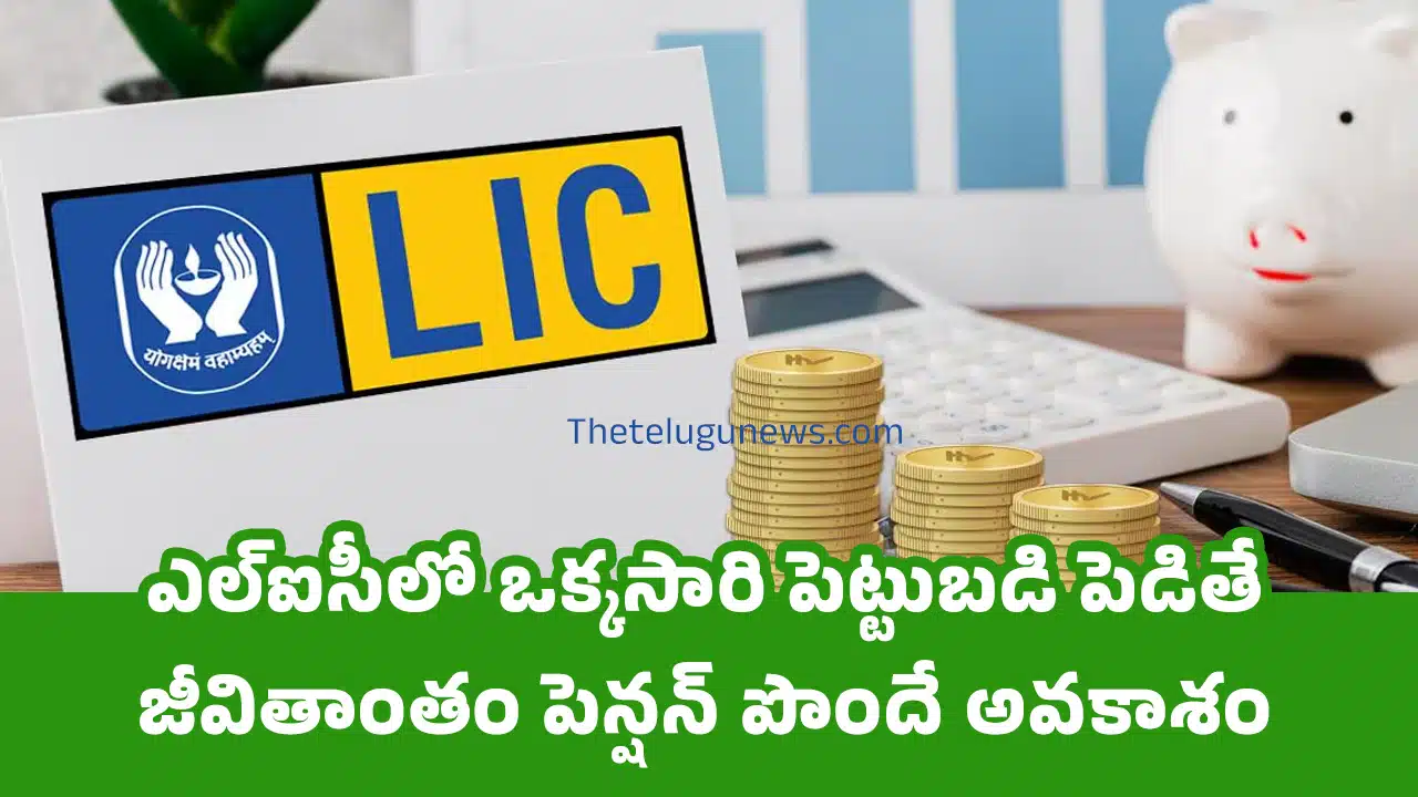 LIC : ఎల్ఐసీలో ఒక్క‌సారి పెట్టుబడి పెడితే జీవితాంతం పెన్షన్ పొందే అవ‌కాశం