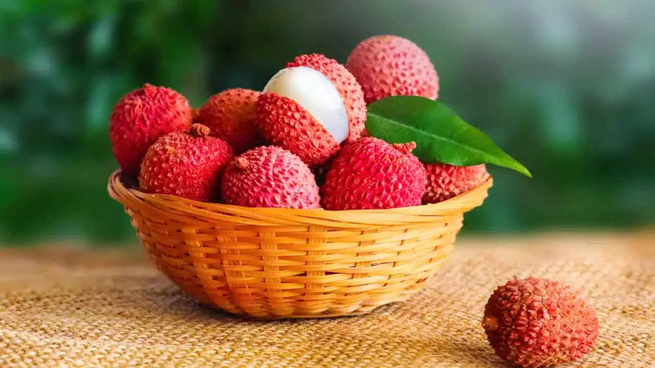 Health Benefits Lychee : ఈ పండు గురించి మీకు తెలుసా... సమ్మర్ లో దొరికే అద్భుతమైన ఫలం... దీని ఎనర్జీ లెవెల్స్ తెలిస్తే దిమ్మతిరుతుంది..