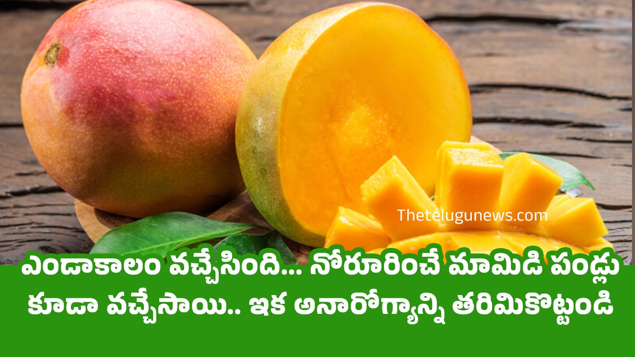 Mango : ఎండాకాలం వచ్చేసింది… నోరూరించే మామిడి పండ్లు కూడా వచ్చేసాయి.. ఇక అనారోగ్యాన్ని తరిమికొట్టండి…?