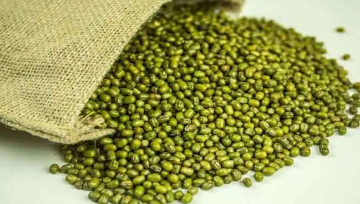 Mung Bean : సమ్మర్ లో శరీరాన్ని చల్లబరుచుటకు ఈ పప్పుధాన్యాలు తినండి ..! ఈ వ్యాధులకు చెక్..వీటిని ఎలా తినాలో తెలుసా...?
