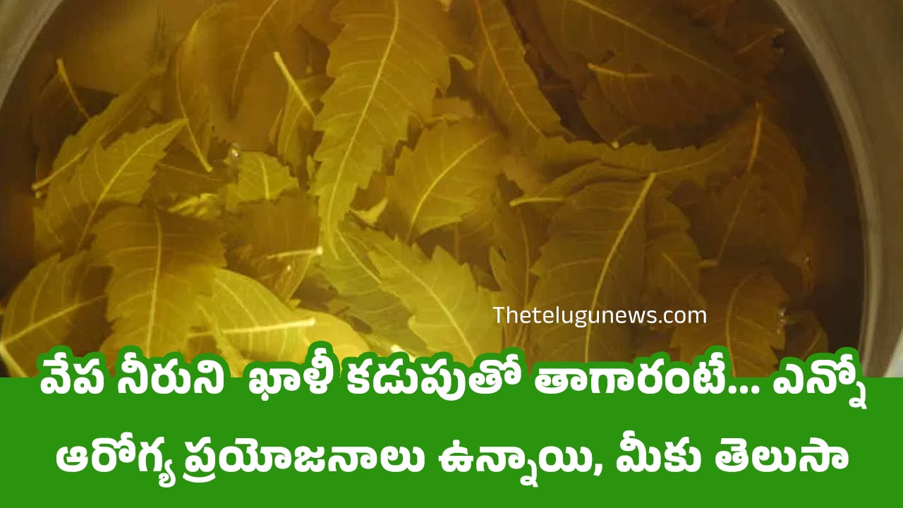 Neem Water : వేప నీరుని  ఖాళీ కడుపుతో తాగారంటే… ఎన్నో ఆరోగ్య ప్రయోజనాలు ఉన్నాయి, మీకు తెలుసా…?