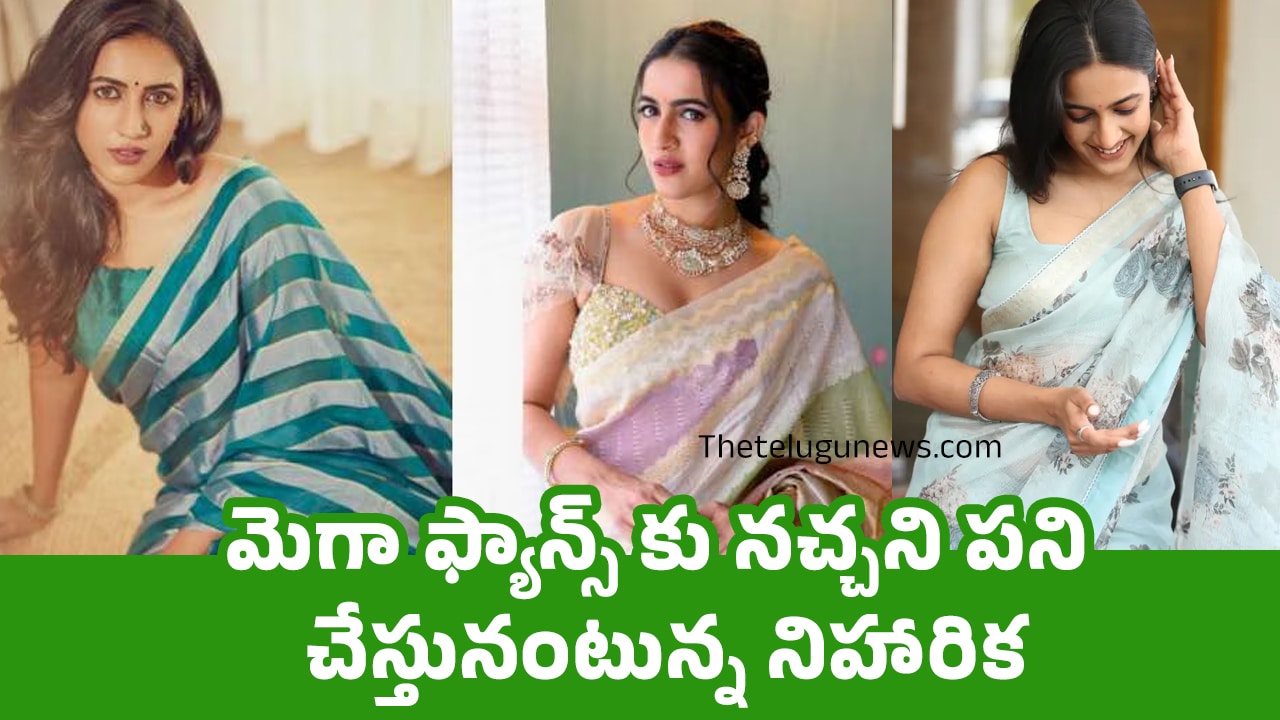 Niharika : మెగా ఫ్యాన్స్ కు నచ్చని పని చేస్తునంటున్న నిహారిక ..?