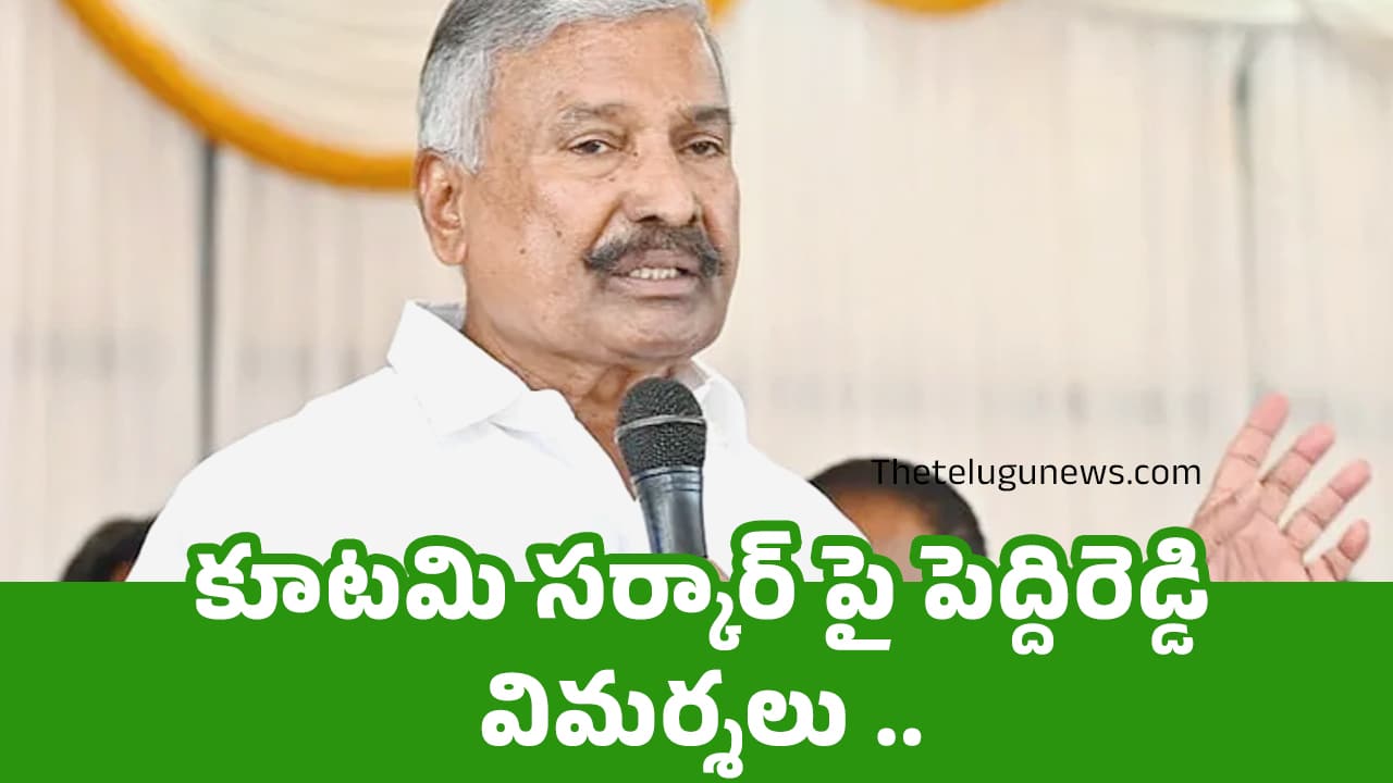 Peddireddy Ramachandra Reddy : కూటమి సర్కార్ పై పెద్దిరెడ్డి విమర్శలు