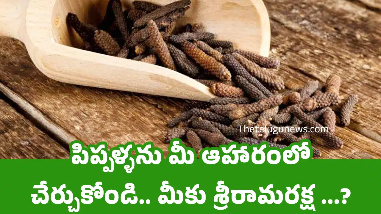 Pippali : పిప్పళ్ళను మీ ఆహారంలో చేర్చుకోండి...? మీకు శ్రీరామరక్ష ...?