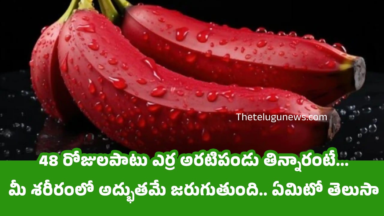 Red Banana 48 రోజులపాటు ఎర్ర అరటిపండు తిన్నారంటే మీ శరీరంలో అద్భుతమే జరుగుతుంది ఏమిటో తెలుసా