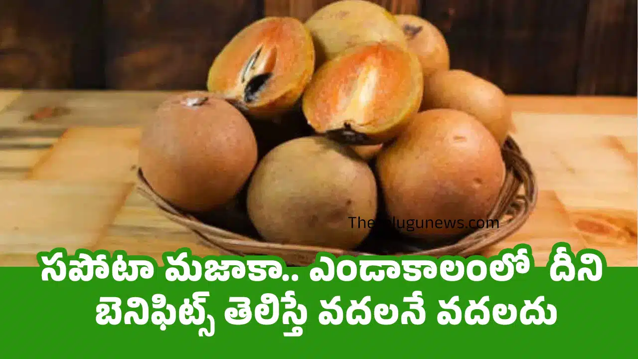 Sapodilla Benefits : సపోటా మజాకా.. ఎండాకాలంలో దీని బెనిఫిట్స్ తెలిస్తే వదలనే వదలదు...?