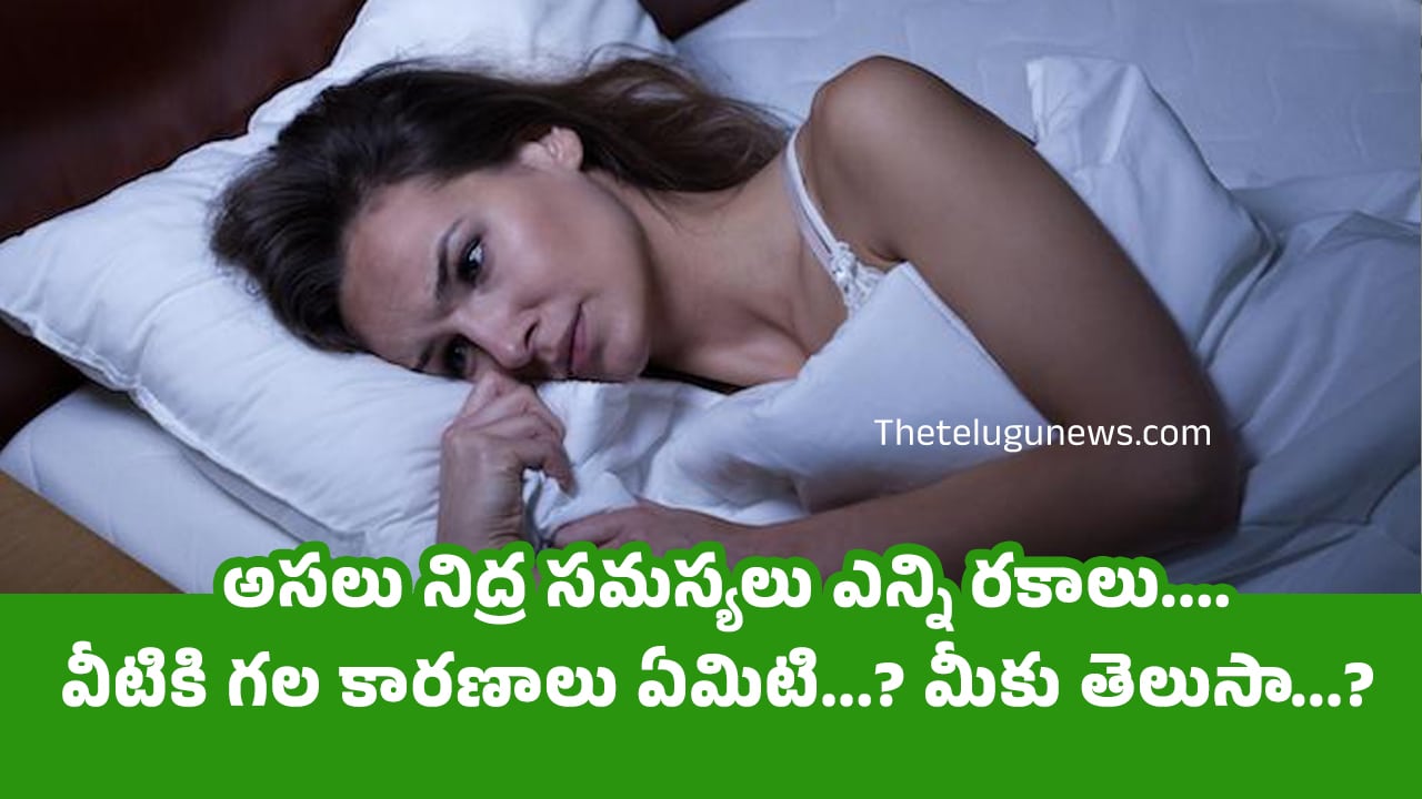 Sleep problems అసలు నిద్ర సమస్యలు ఎన్ని రకాలు వీటికి గల కారణాలు ఏమిటి మీకు తెలుసా