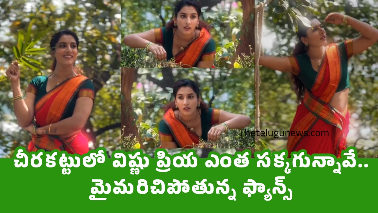 Vishnu Priya : చీర‌క‌ట్టులో విష్ణు ప్రియ ఎంత స‌క్క‌గున్నావే… మైమ‌రిచిపోతున్న ఫ్యాన్స్