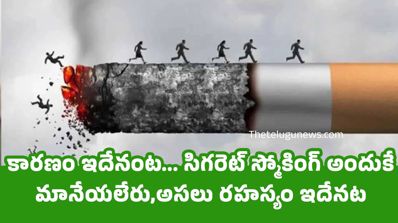 Why Quitting Is Hard కారణం ఇదేనంట సిగరెట్ స్మోకింగ్ అందుకే మానేయలేరుఅసలు రహస్యం ఇదేనట