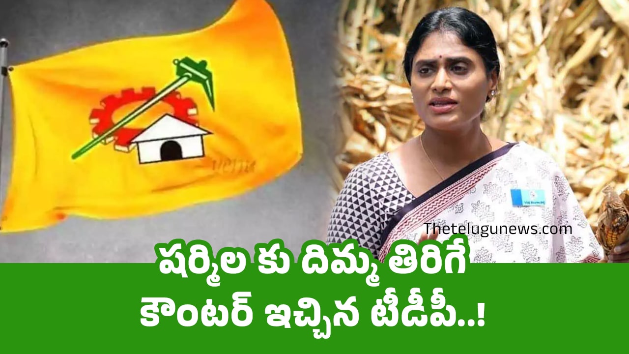 TDP : షర్మిల కు దిమ్మ తిరిగే కౌంటర్ ఇచ్చిన టీడీపీ..!