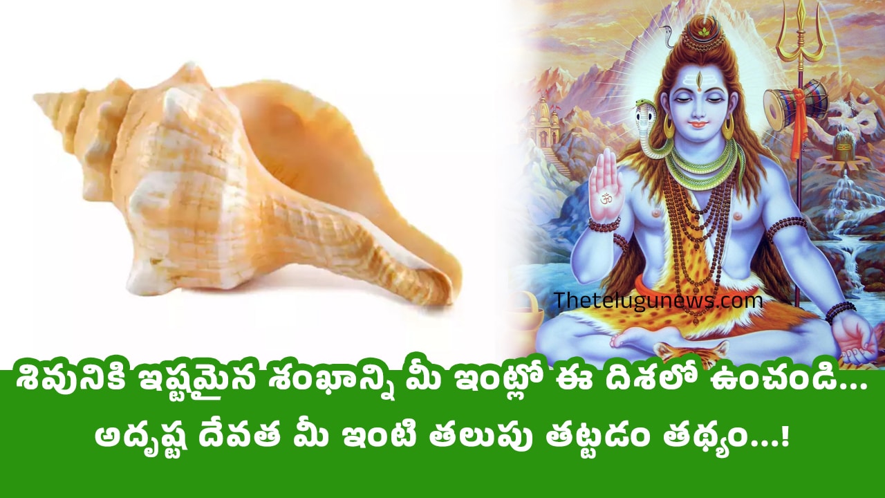 Adtro Tips : శివునికి ఇష్టమైన శంఖాన్ని మీ ఇంట్లో ఈ దిశలో ఉంచండి… అదృష్ట దేవత మీ ఇంటి తలుపు తట్టడం తథ్యం…!