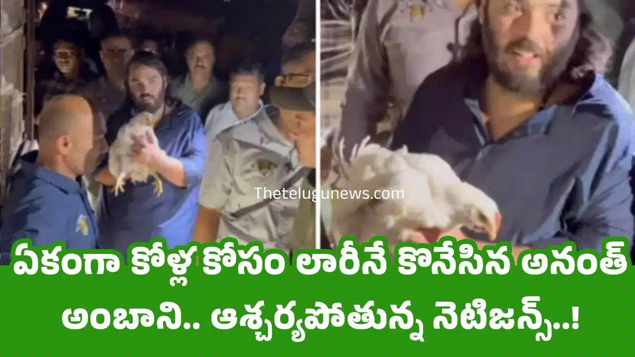 Anant Ambani : ఏకంగా కోళ్ల కోసం లారీనే కొనేసిన అనంత్ అంబాని.. ఆశ్చ‌ర్యపోతున్న నెటిజ‌న్స్..!