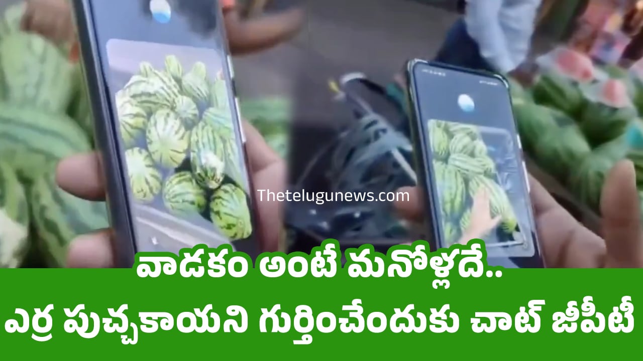 Chat GPT : వాడ‌కం అంటే మ‌నోళ్ల‌దే.. ఎర్ర పుచ్చ‌కాయ‌ని గుర్తించేందుకు చాట్ జీపీటీ..వీడియో !