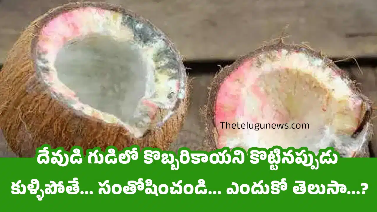 Coconut : దేవుడి గుడిలో కొబ్బరికాయని కొట్టినప్పుడు కుళ్ళిపోతే... సంతోషించండి... ఎందుకో తెలుసా...?