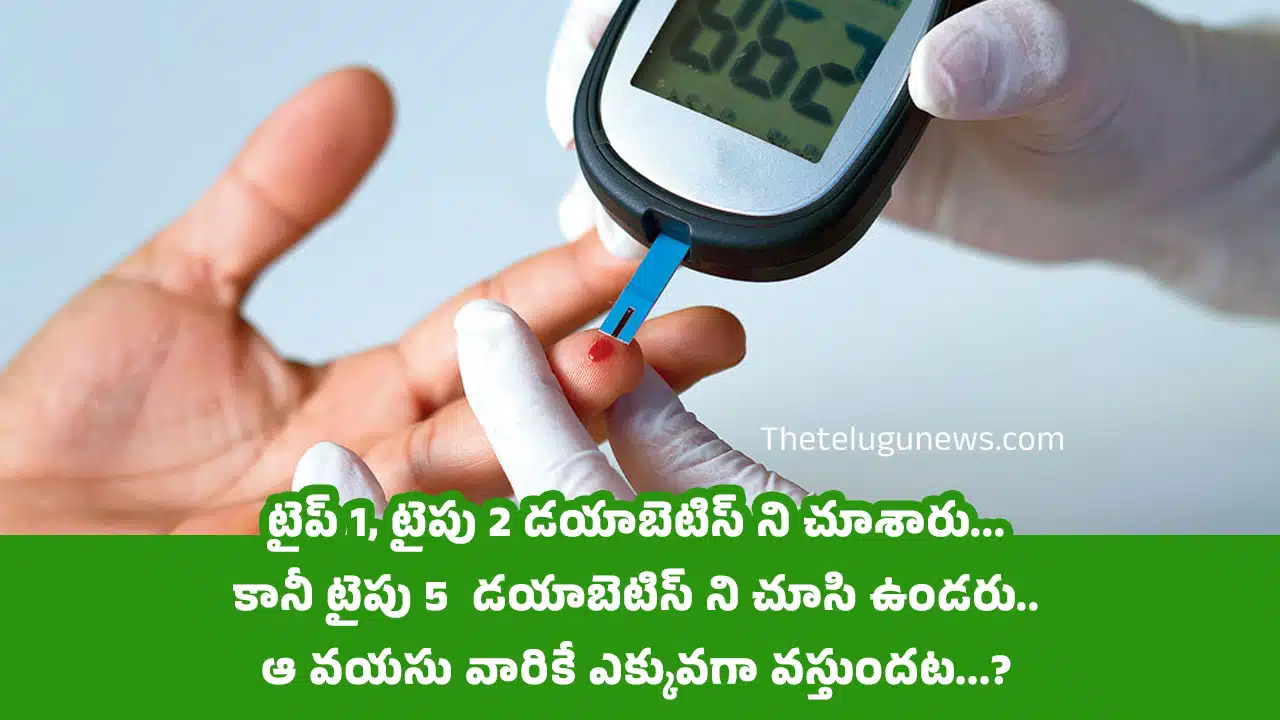 Diabetes : టైప్ 1, టైపు 2 డయాబెటిస్ ని చూశారు... కానీ టైపు 5 డయాబెటిస్ ని చూసి ఉండరు.. ఆ వయసు వారికే ఎక్కువగా వస్తుందట...?