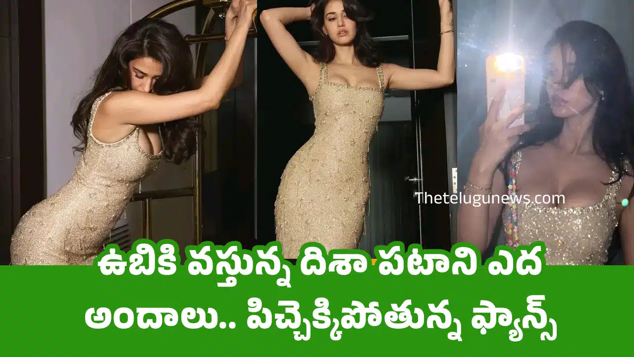 Disha Patani : ఉబికి వ‌స్తున్న దిశా ప‌టాని ఎద అందాలు.. పిచ్చెక్కిపోతున్న ఫ్యాన్స్
