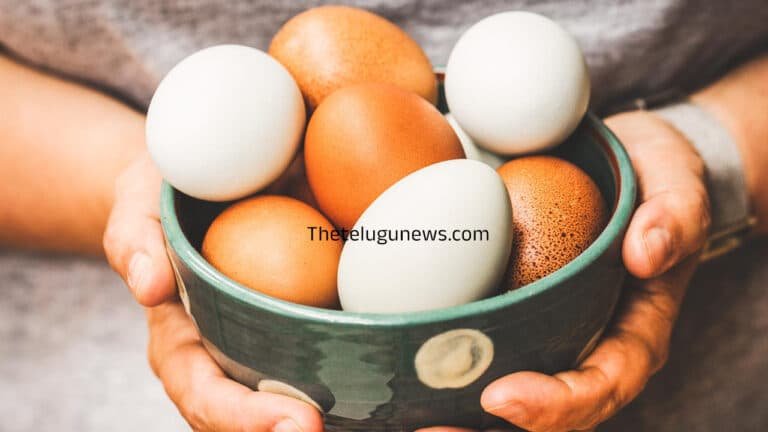 Egg Consumption : డజన్  డజన్ల గుడ్లు తినే వారికి … ఈ వార్త గుండె పగిలేలా చేస్తుంది..!