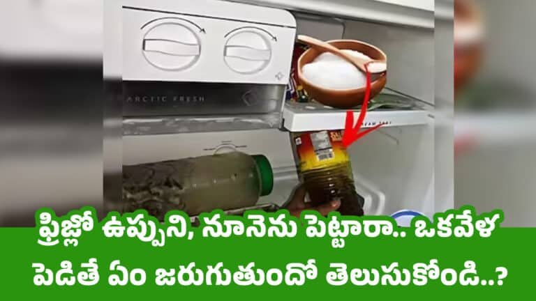 Fridge Tips : ఫ్రిజ్లో ఉప్పుని, నూనెను పెట్టారా… ఒకవేళ పెడితే ఏం జరుగుతుందో తెలుసుకోండి..?