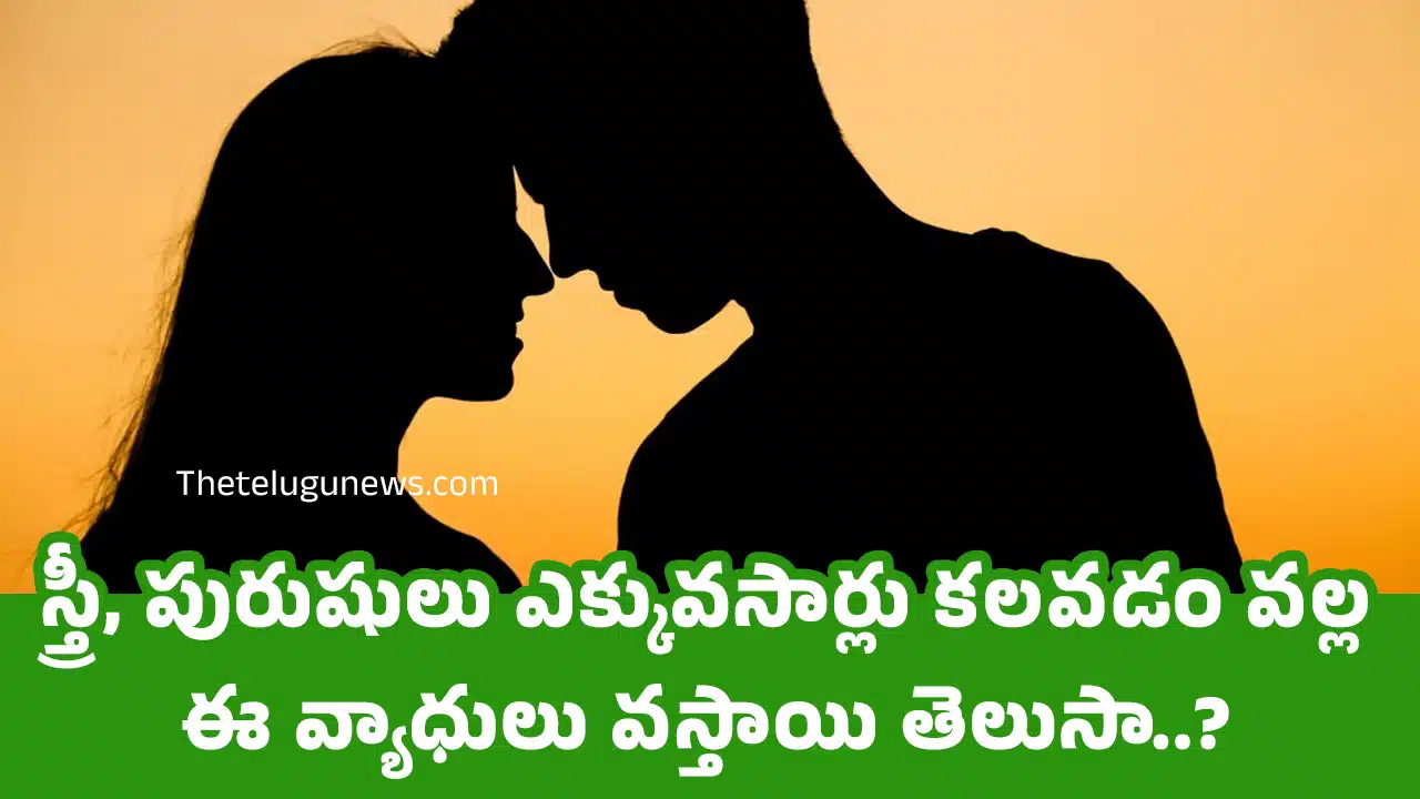 Health Disease : స్త్రీ, పురుషులు ఎక్కువసార్లు క‌ల‌వ‌డం వ‌ల్ల ఈ వ్యాధులు వ‌స్తాయి తెలుసా..?