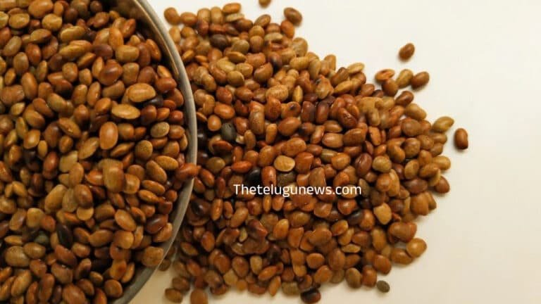 Horse Gram : మీరు నిత్యం ఆరోగ్యంగా ఉండాలంటే… వీటిని తింటే చాలు ఆరోగ్యం రేసుగుర్రమేనట…?