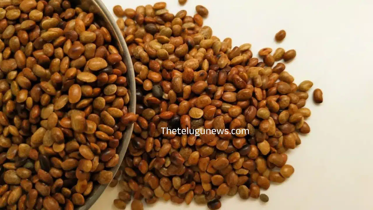 Horse Gram : మీరు నిత్యం ఆరోగ్యంగా ఉండాలంటే... వీటిని తింటే చాలు ఆరోగ్యం రేసుగుర్రమేనట...?
