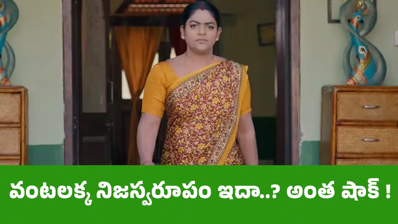 Karthika Deepam Today Episode : వంటలక్క నిజస్వరూపం ఇదా..? అంత షాక్ !