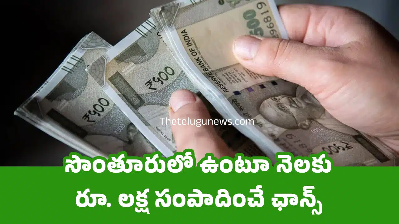 Business Ideas : సొంతూరులో ఉంటూ నెలకు రూ. లక్ష సంపాదించే ఛాన్స్