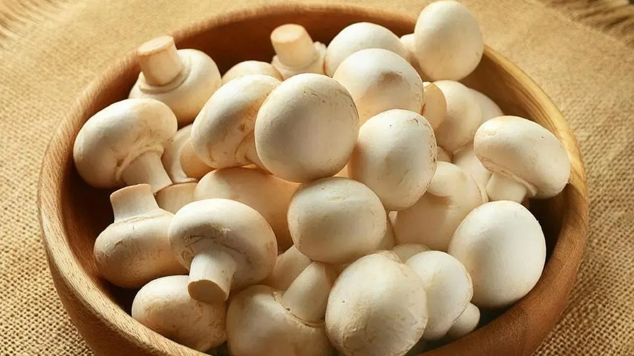 Mushrooms : పుట్టగొడుగులను ఇలా తిన్నారంటే… మీరు డేంజర్ లో పడ్డట్లే.. కారణం ఇదే…?