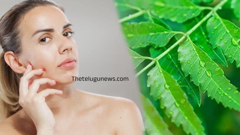 Neem Leaves :  మీ ముఖ చర్మం అందంగా మెరవాలంటే … ఆకులతో ఫేస్ ప్యాక్ ఇలా ట్రై చేయండి…?