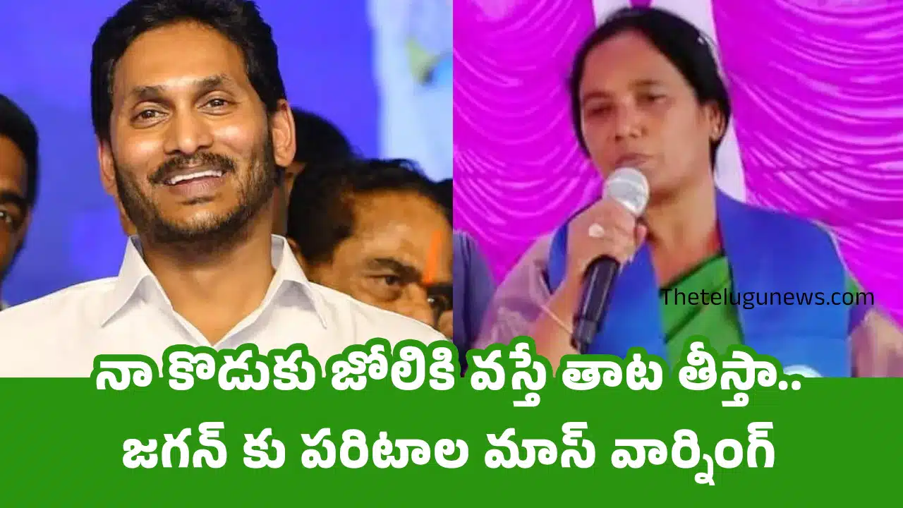 Paritala Sunitha : నా కొడుకు జోలికి వస్తే తాట తీస్తా.. జగన్ కు పరిటాల మాస్ వార్నింగ్