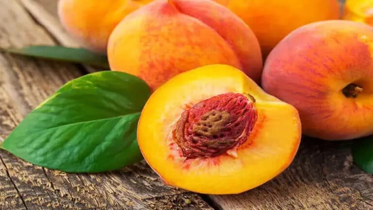 Peaches : ఈ పండును తిన్నారా… తింటే వదలనే వదలరు.. వారం రోజులు తిని చూడండి..?