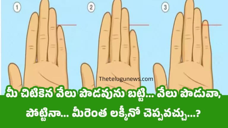 Personality Test : మీ చిటికెన వేలు పొడవును బట్టి… వేలు పొడువా, పోట్టినా… మీరెంత లక్కీనో చెప్పవచ్చు…?