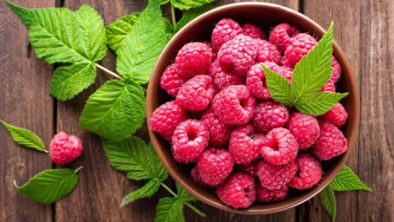 Health Benefits : ఇలాంటి అందమైన పండును మీరు ఎప్పుడు తిని ఉండరు.. ఔషధాలే కాదు, గుండె ఆరోగ్యానికి శ్రీరామరక్ష..?