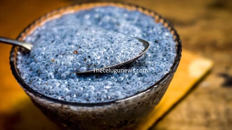 Sabja : ఎండాకాలంలో సబ్జా గింజలతో ఫుల్ ఎనర్జీ… ఈ వ్యాధులన్ని పరార్…?