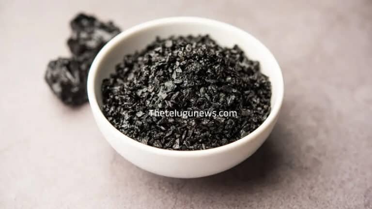 Shilajit In Ayurveda : శిలాజిత్ అనే పదం ఎప్పుడైనా విన్నారా… ఇది ఆయుర్వేదంలో ఉపయోగిస్తారు… దీని గురించి తెలుసా….?