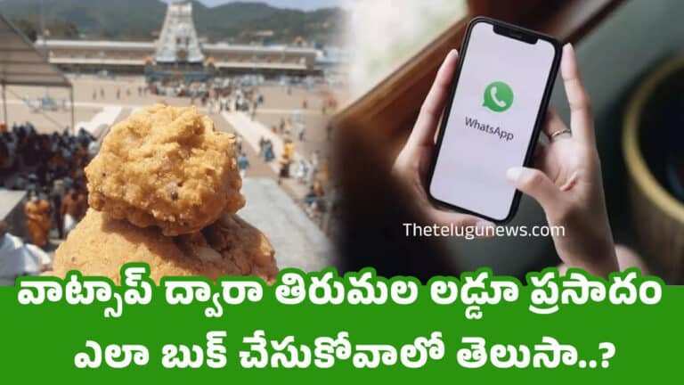 Tirumala Laddu : వాట్సాప్‌ ద్వారా తిరుమల లడ్డూ ప్రసాదం ఎలా బుక్ చేసుకోవాలో తెలుసా..?