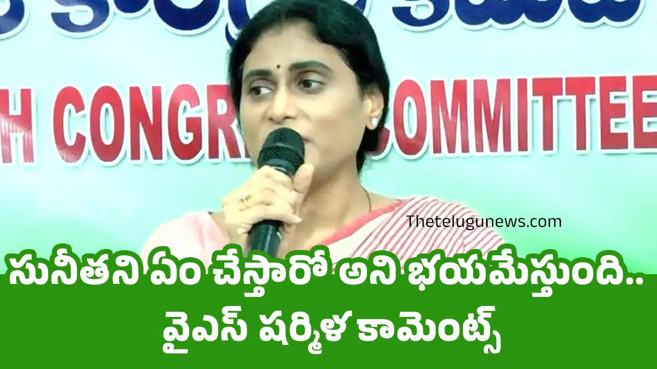 YS Sharmila : సునీత‌ని ఏం చేస్తారో అని భ‌య‌మేస్తుంది.. వైఎస్ ష‌ర్మిళ కామెంట్స్
