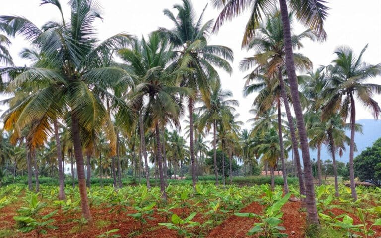 Farmers : రైతుల అకౌంట్ల‌లోకి ఏపీ ప్ర‌భుత్వం న‌గ‌దు జ‌మ‌.. కానీ వీరికి మాత్ర‌మే