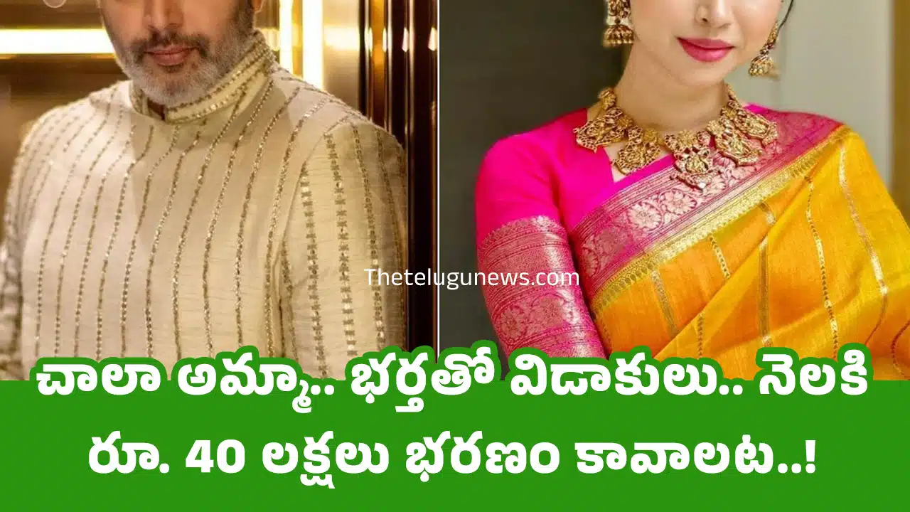 Actor Wife : చాలా అమ్మా.. భ‌ర్త‌తో విడాకులు.. నెల‌కి రూ. 40 ల‌క్ష‌లు భ‌ర‌ణం కావాల‌ట‌..!
