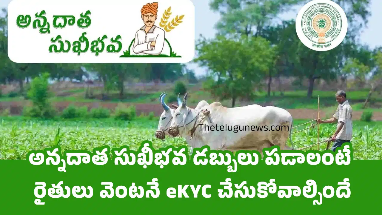 Annadata Sukhibhava : అన్నదాత సుఖీభవ డబ్బులు పడాలంటే రైతులు వెంటనే eKYC చేసుకోవాల్సిందే